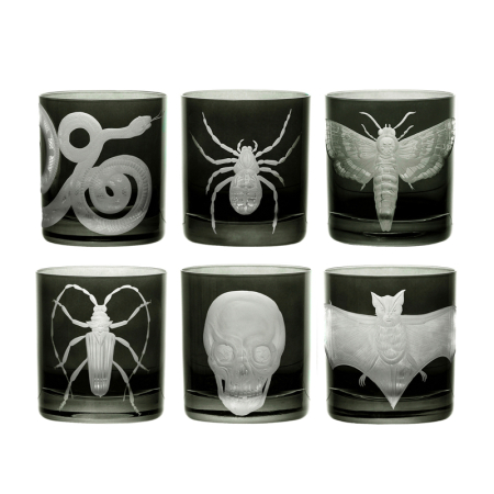 Cabinet of Curiosities Collection Set Double Old Fashioned